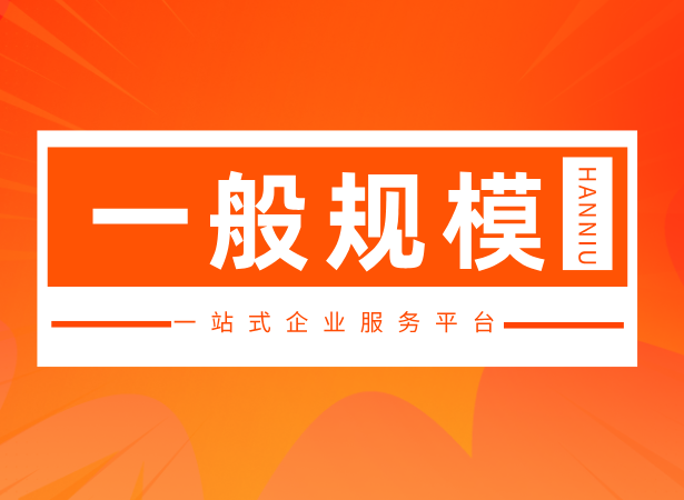 一般纳税人（B套餐）