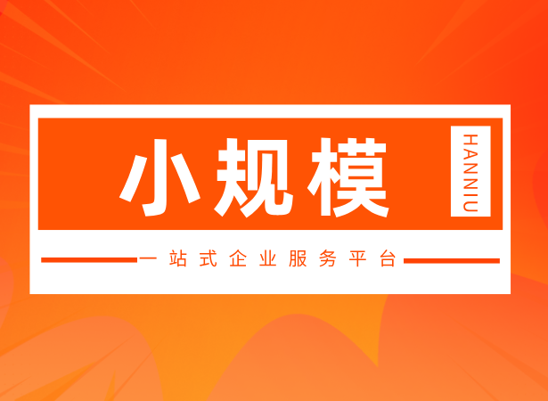 小规模纳税人（A套餐）